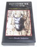 陸域生物研究所 オオクワガタ飼育・繁殖マニュアル 基本編 VHS版